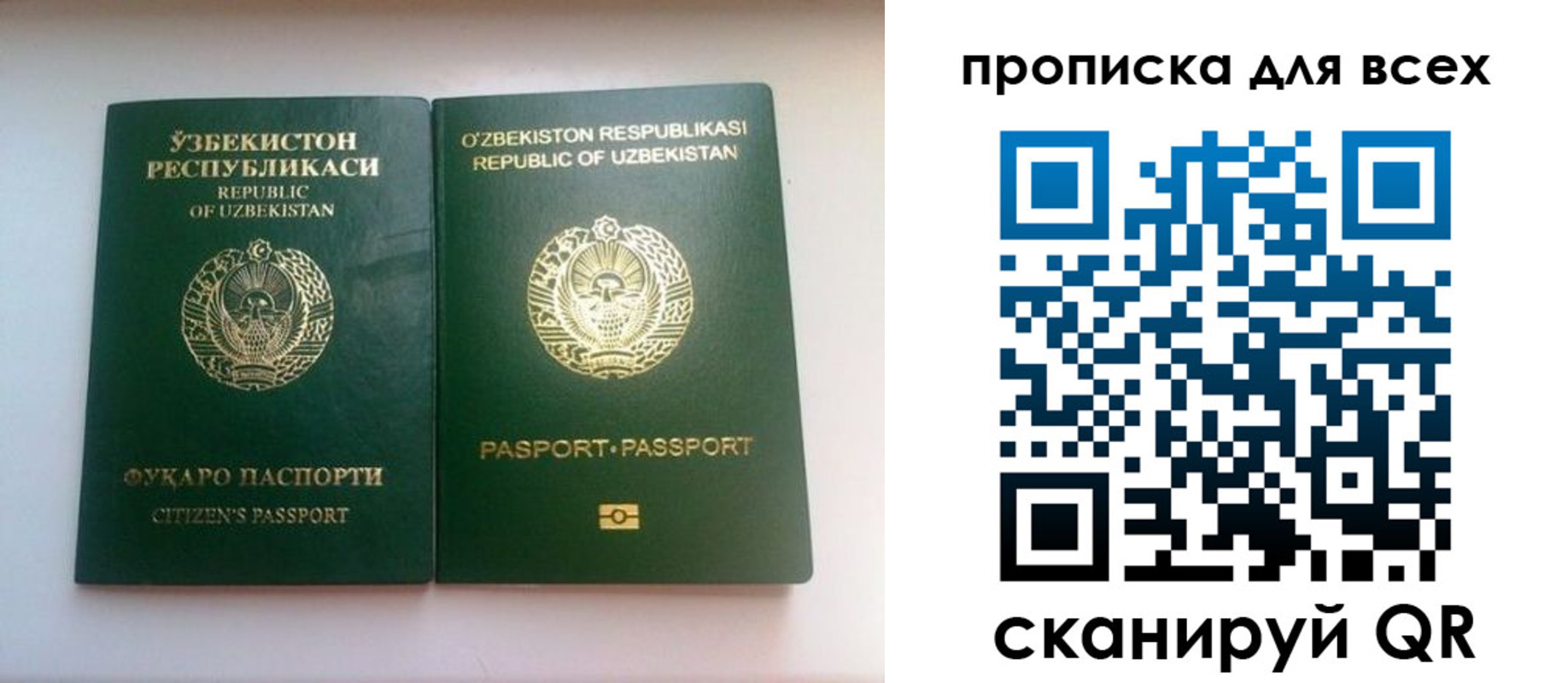 прописка для школы в Оренбурге